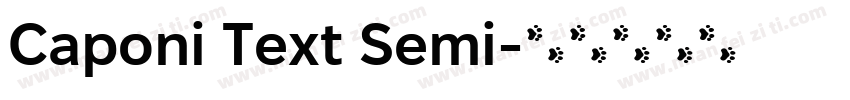 Caponi Text Semi字体转换